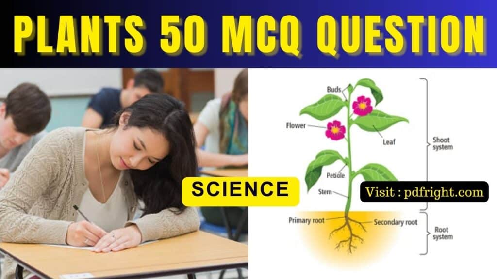 Science : Chapter - Plants 50 MCQ for Class - 3 , 4  , Science Chapter - Plants 50 MCQ Question , Free Download Notes , Chapter Plants .c