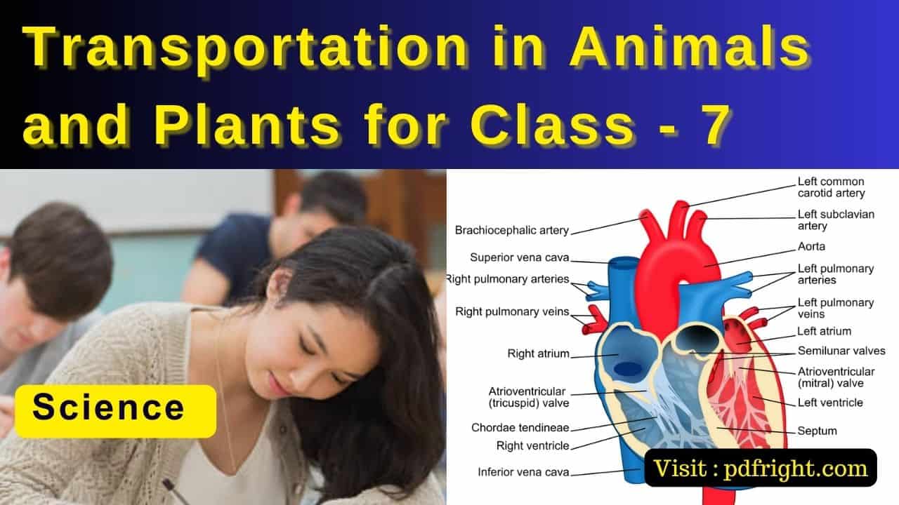 Transportation Animals and Plants for Class - 7 , Science , MCQ Question , Fill in the Blanks , True / False , Short & Long Answer Type Question .