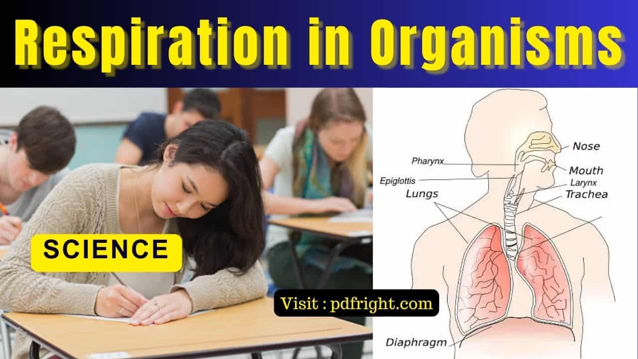 Respiration in Organisms 100 Short Answer for Class- 7, Respiration in Organisms 100 Short Answer type Question for Class- 7, PDF Notes